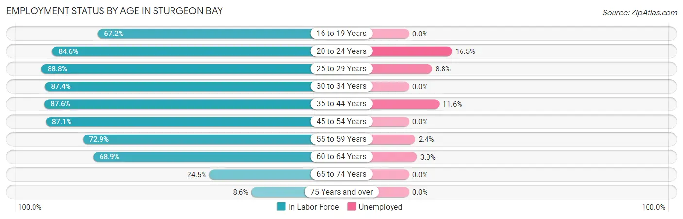 Employment Status by Age in Sturgeon Bay