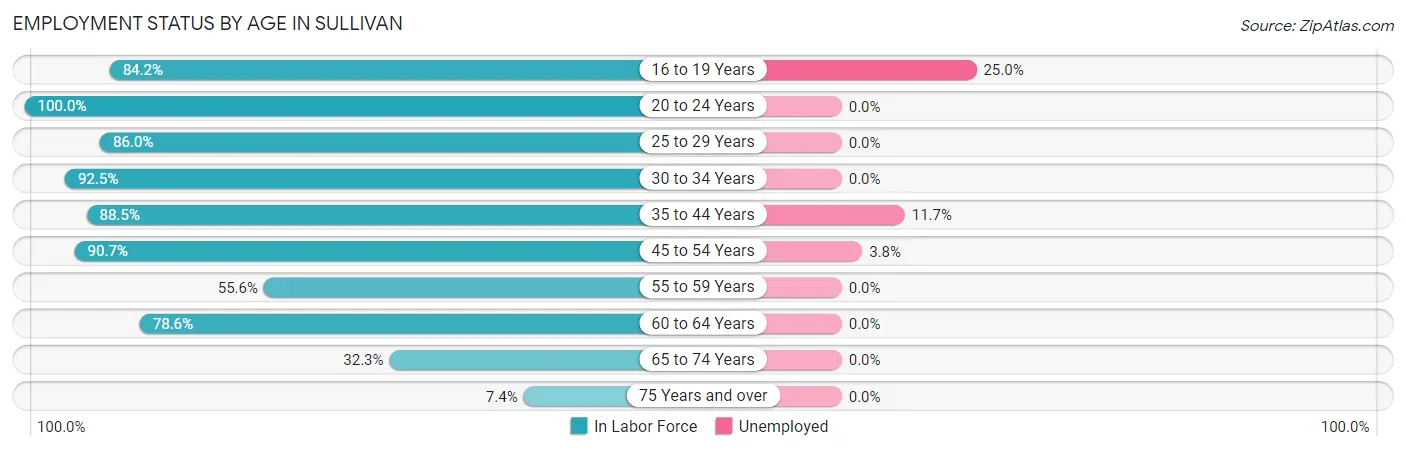 Employment Status by Age in Sullivan