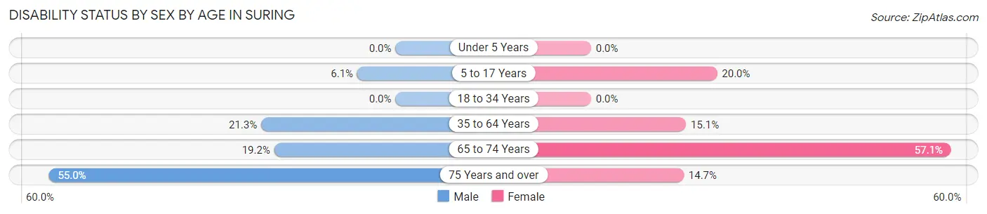 Disability Status by Sex by Age in Suring