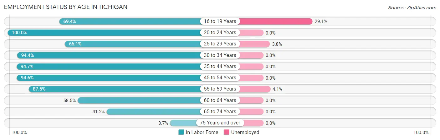 Employment Status by Age in Tichigan