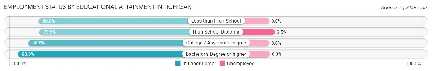 Employment Status by Educational Attainment in Tichigan