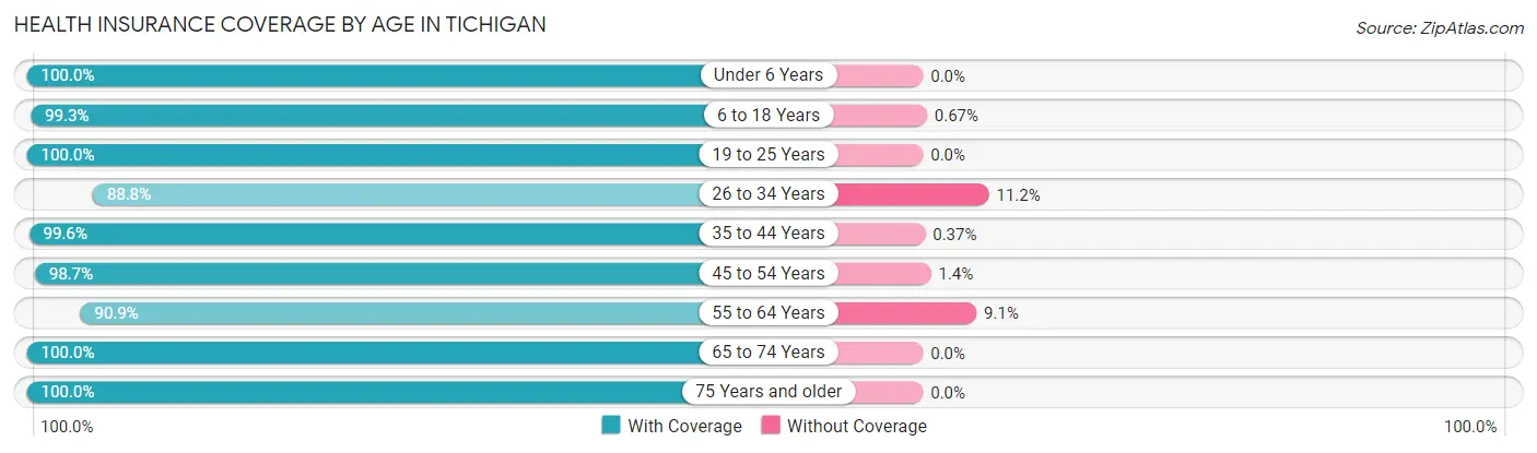 Health Insurance Coverage by Age in Tichigan