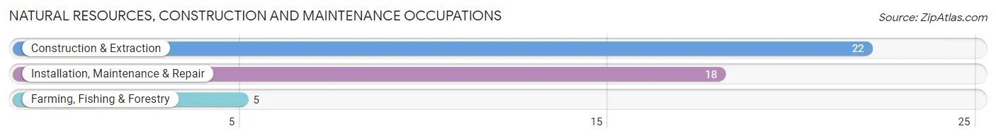 Natural Resources, Construction and Maintenance Occupations in Tigerton