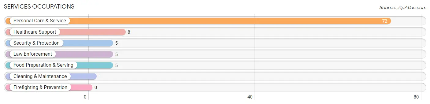 Services Occupations in Tigerton