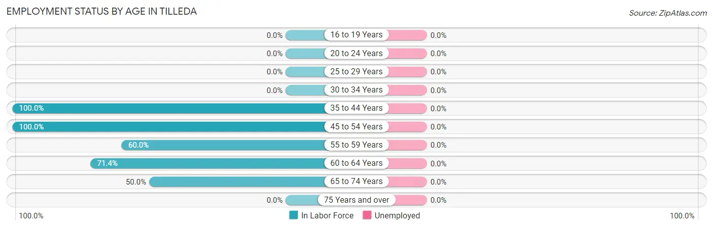 Employment Status by Age in Tilleda