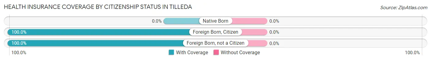 Health Insurance Coverage by Citizenship Status in Tilleda