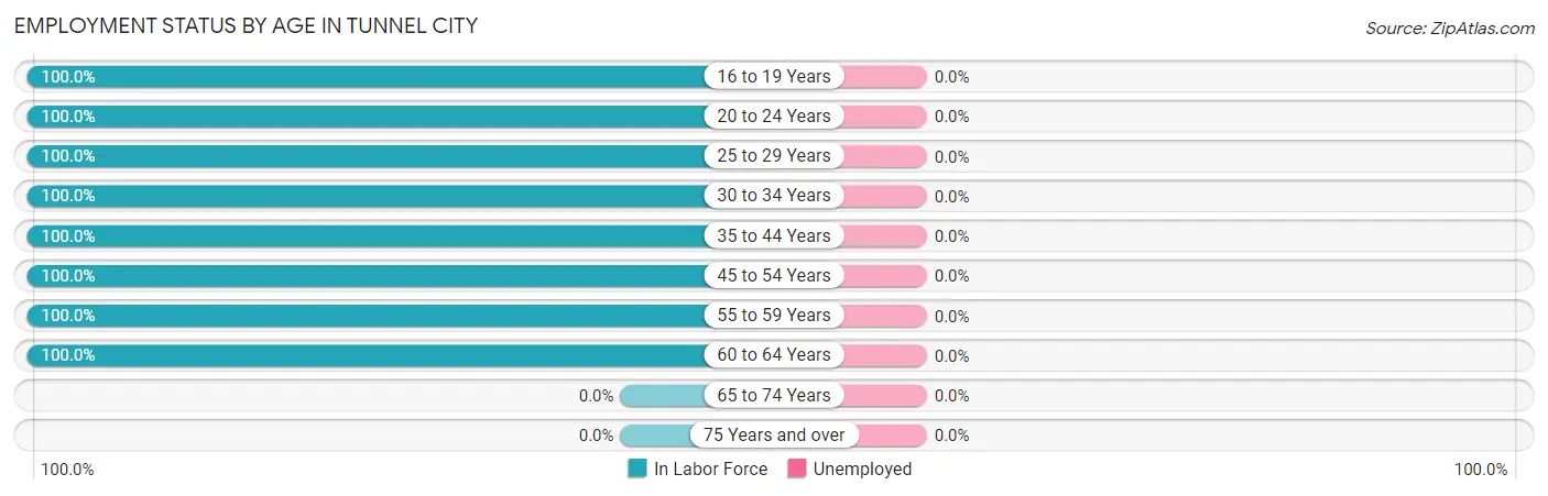 Employment Status by Age in Tunnel City