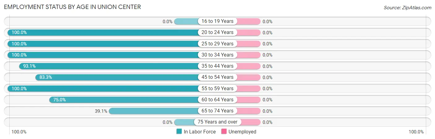 Employment Status by Age in Union Center