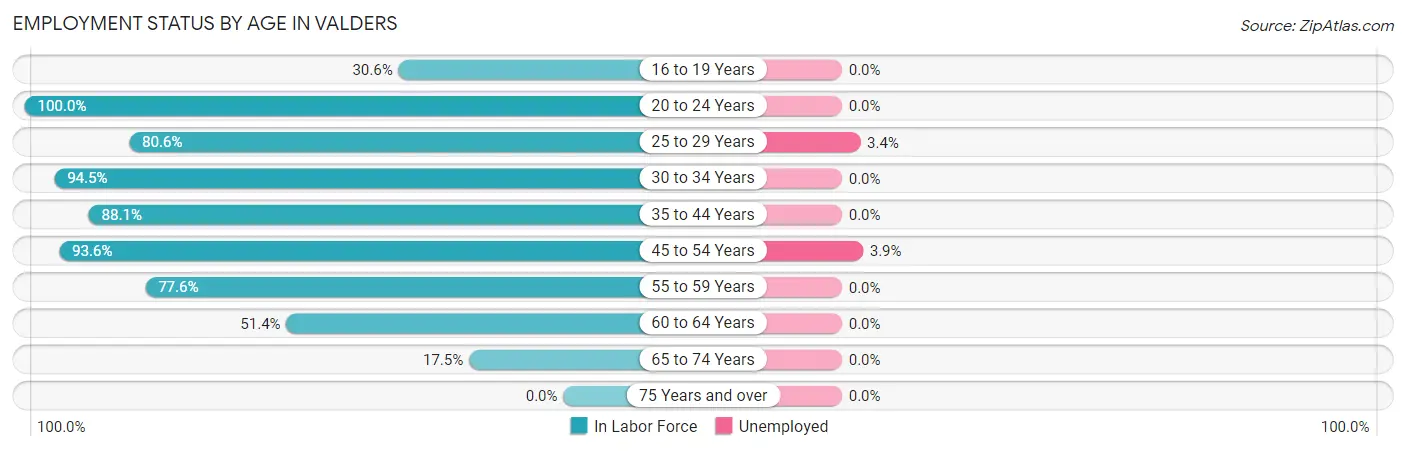 Employment Status by Age in Valders