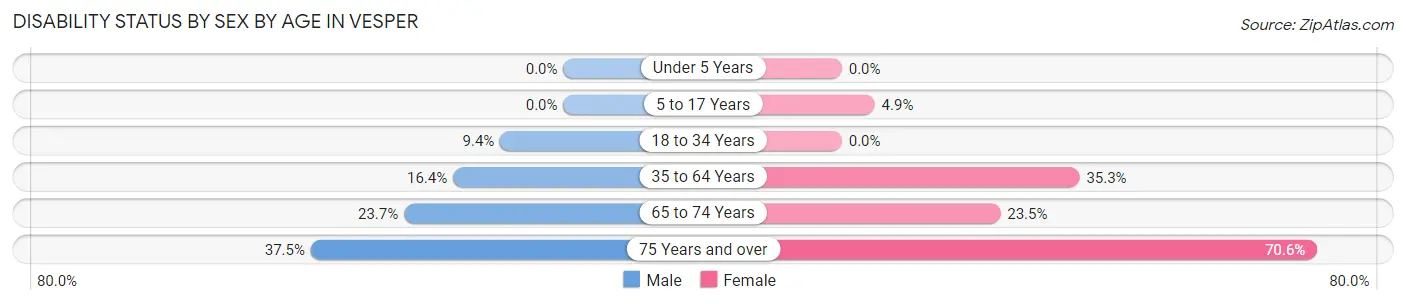 Disability Status by Sex by Age in Vesper