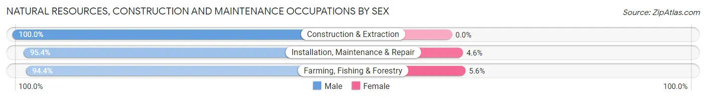 Natural Resources, Construction and Maintenance Occupations by Sex in Watertown