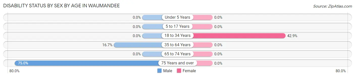 Disability Status by Sex by Age in Waumandee