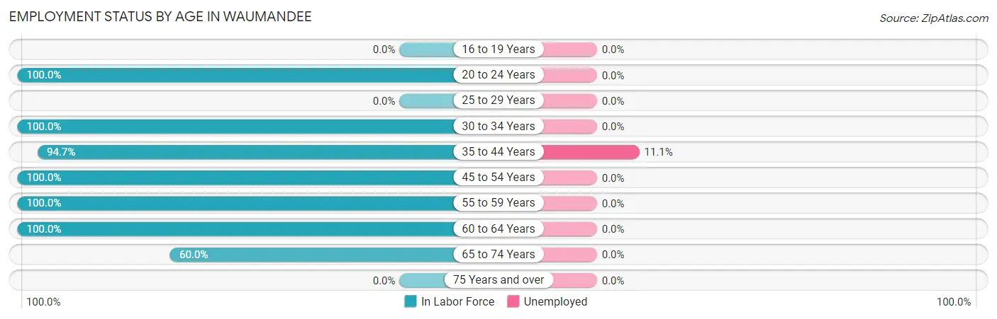 Employment Status by Age in Waumandee