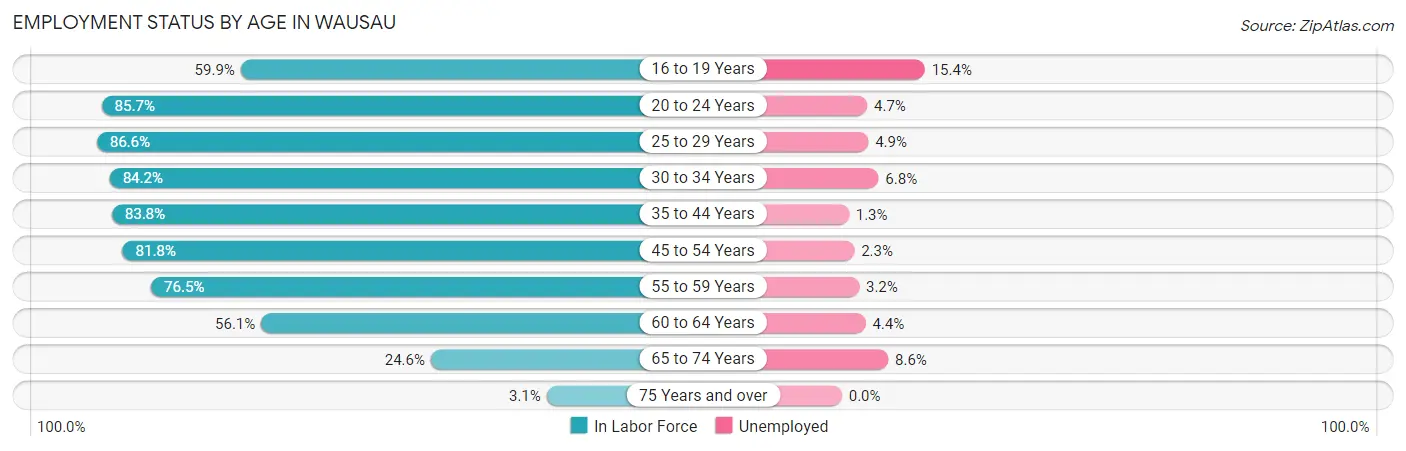 Employment Status by Age in Wausau