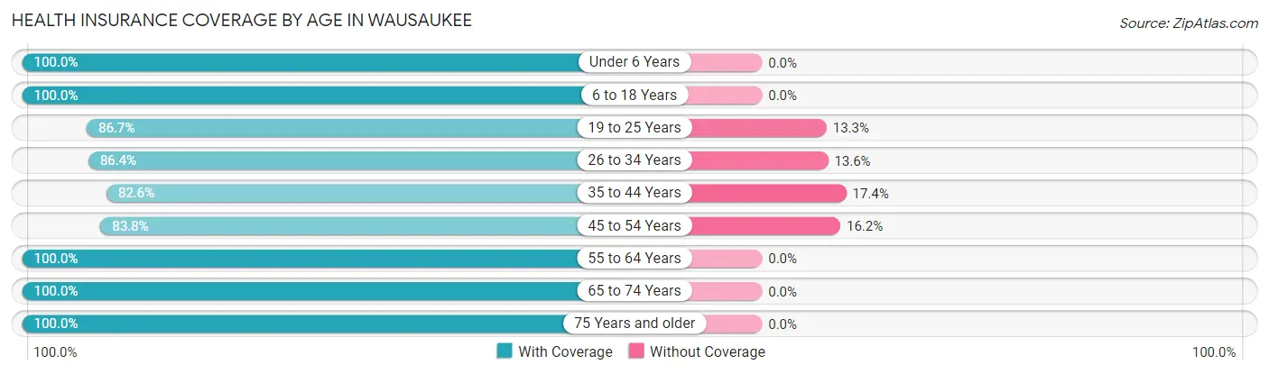 Health Insurance Coverage by Age in Wausaukee