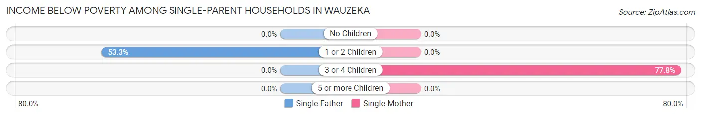 Income Below Poverty Among Single-Parent Households in Wauzeka