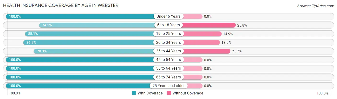 Health Insurance Coverage by Age in Webster