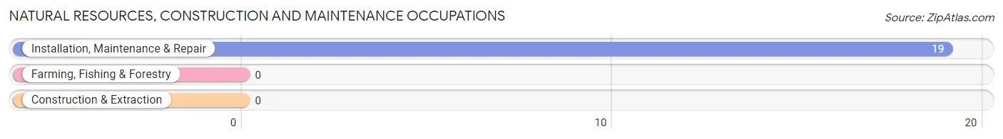 Natural Resources, Construction and Maintenance Occupations in Webster