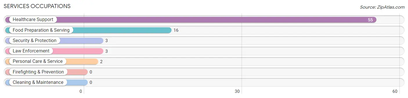 Services Occupations in Webster