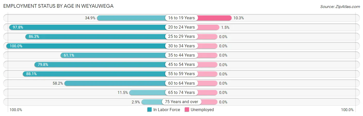 Employment Status by Age in Weyauwega