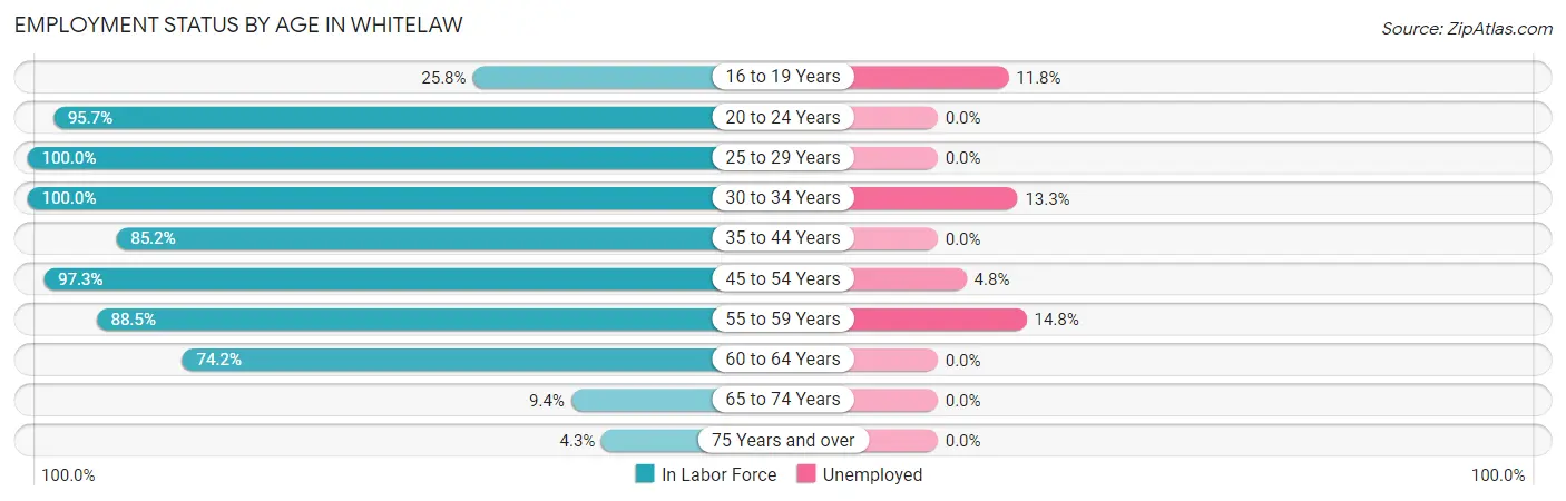 Employment Status by Age in Whitelaw