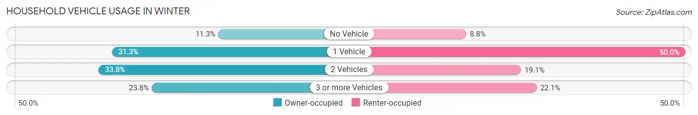 Household Vehicle Usage in Winter