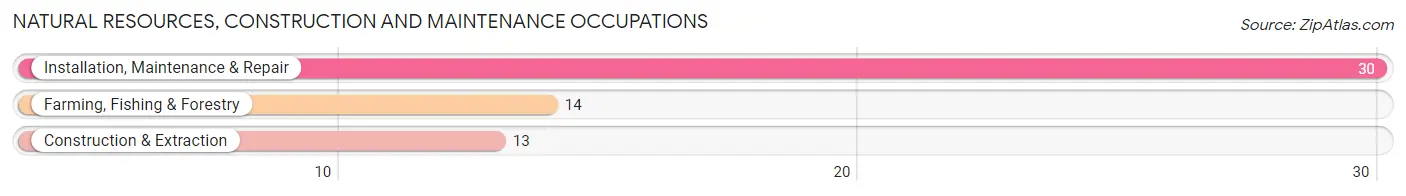 Natural Resources, Construction and Maintenance Occupations in Wisconsin Dells