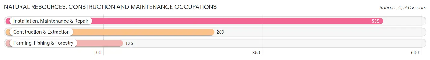 Natural Resources, Construction and Maintenance Occupations in Wisconsin Rapids