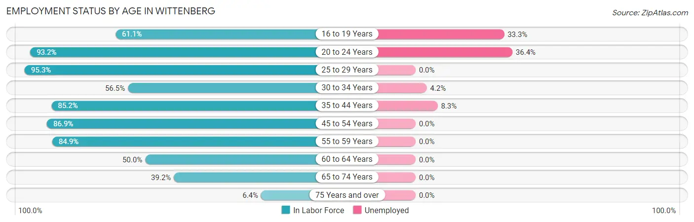 Employment Status by Age in Wittenberg