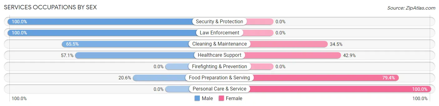 Services Occupations by Sex in Wittenberg