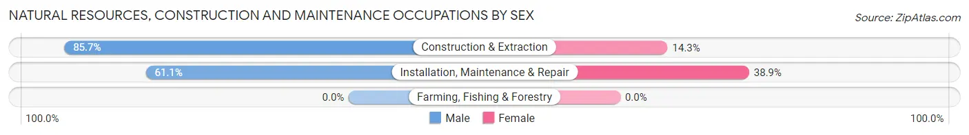 Natural Resources, Construction and Maintenance Occupations by Sex in Wonewoc
