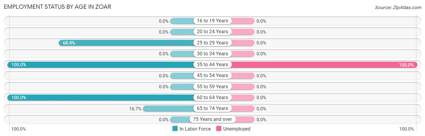 Employment Status by Age in Zoar