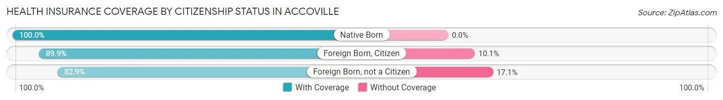 Health Insurance Coverage by Citizenship Status in Accoville
