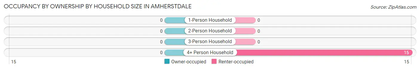 Occupancy by Ownership by Household Size in Amherstdale