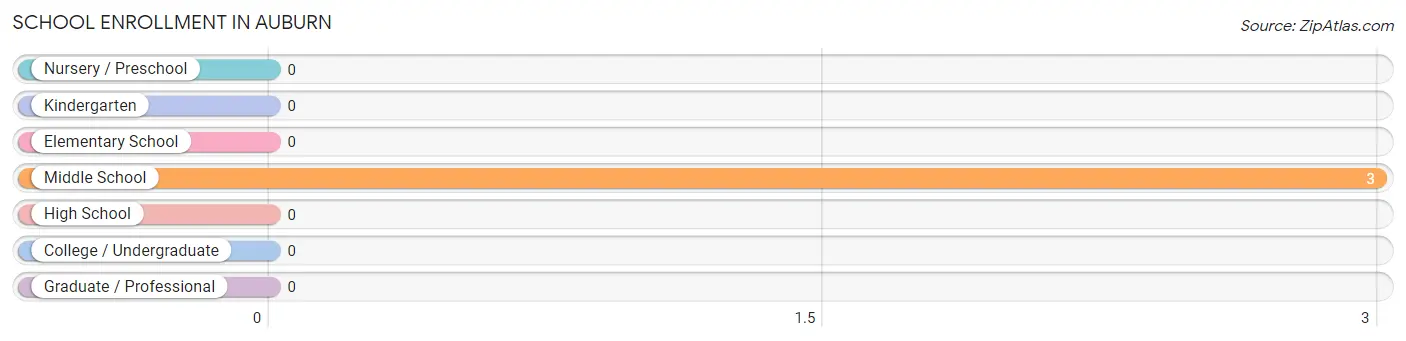 School Enrollment in Auburn