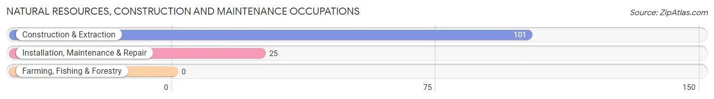 Natural Resources, Construction and Maintenance Occupations in Barrackville