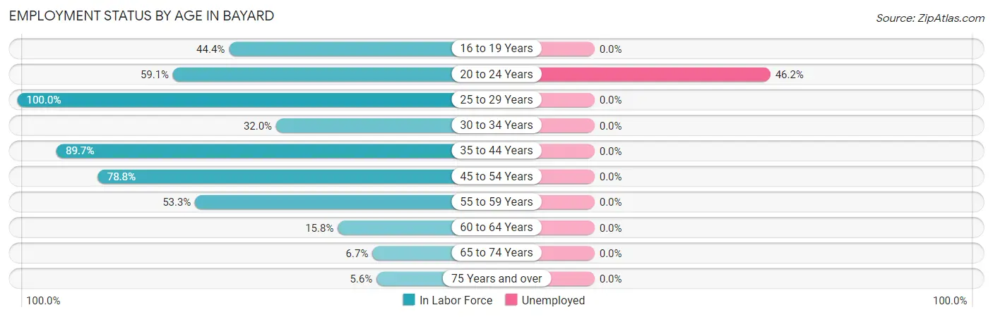 Employment Status by Age in Bayard