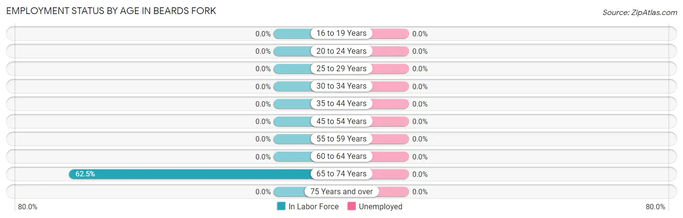 Employment Status by Age in Beards Fork