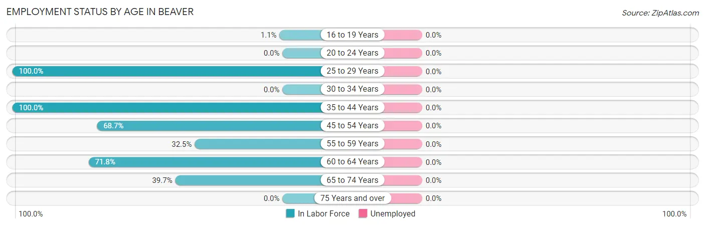 Employment Status by Age in Beaver