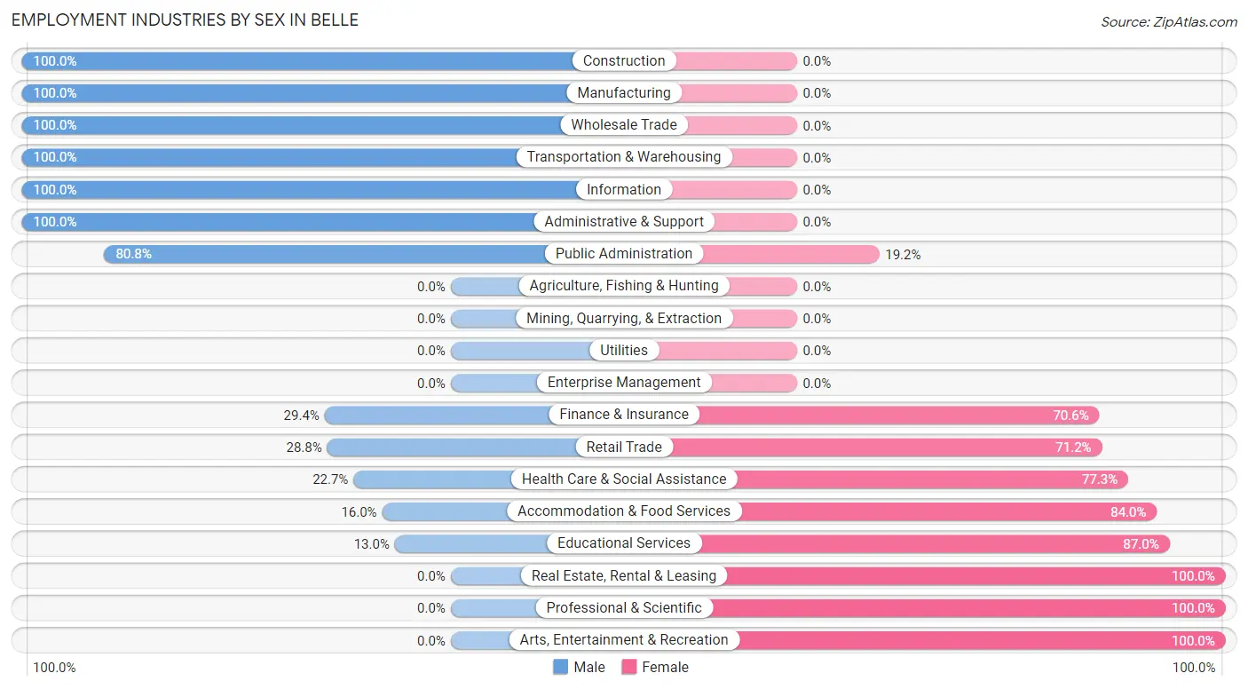 Employment Industries by Sex in Belle