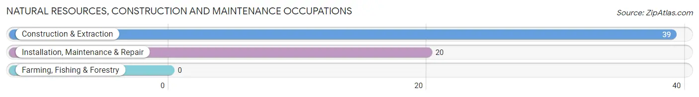 Natural Resources, Construction and Maintenance Occupations in Belle