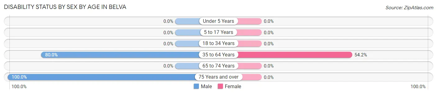 Disability Status by Sex by Age in Belva