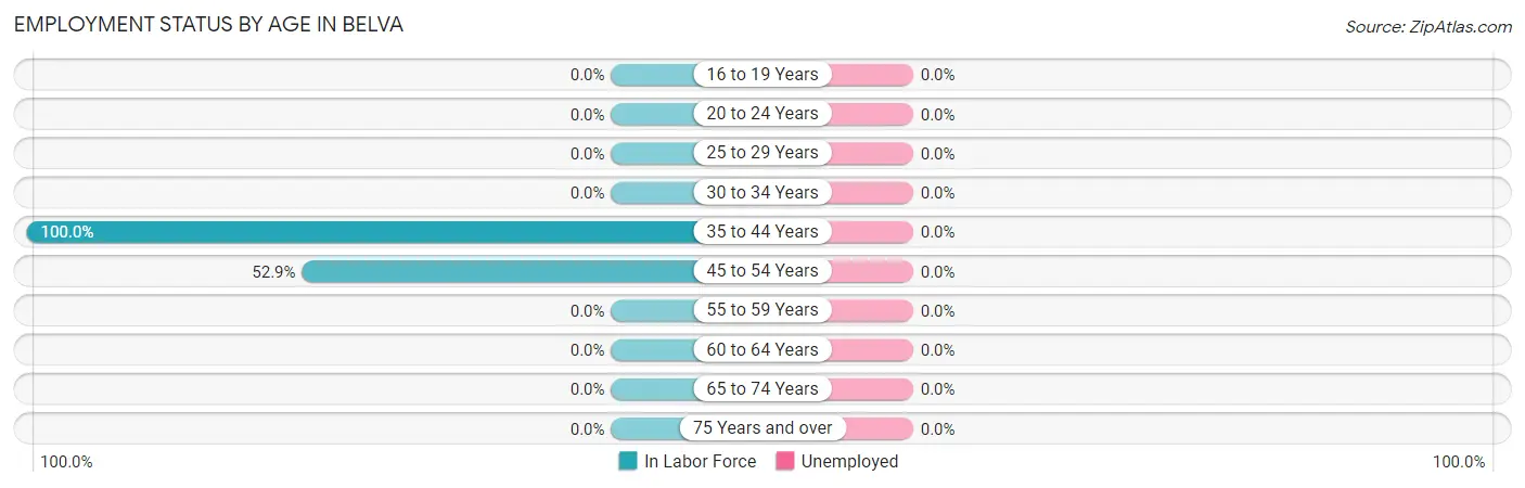 Employment Status by Age in Belva