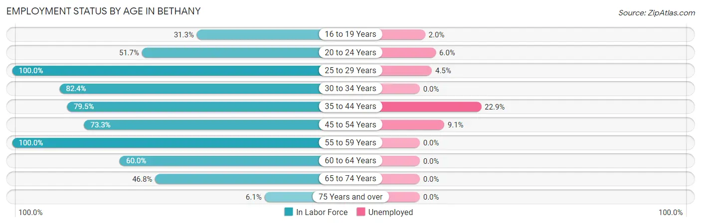 Employment Status by Age in Bethany