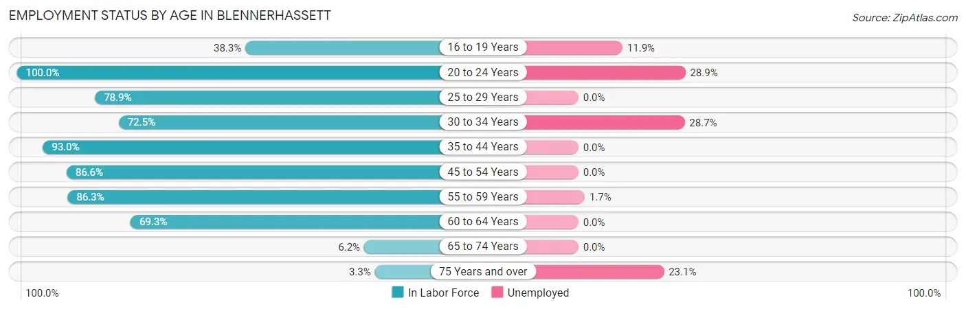 Employment Status by Age in Blennerhassett