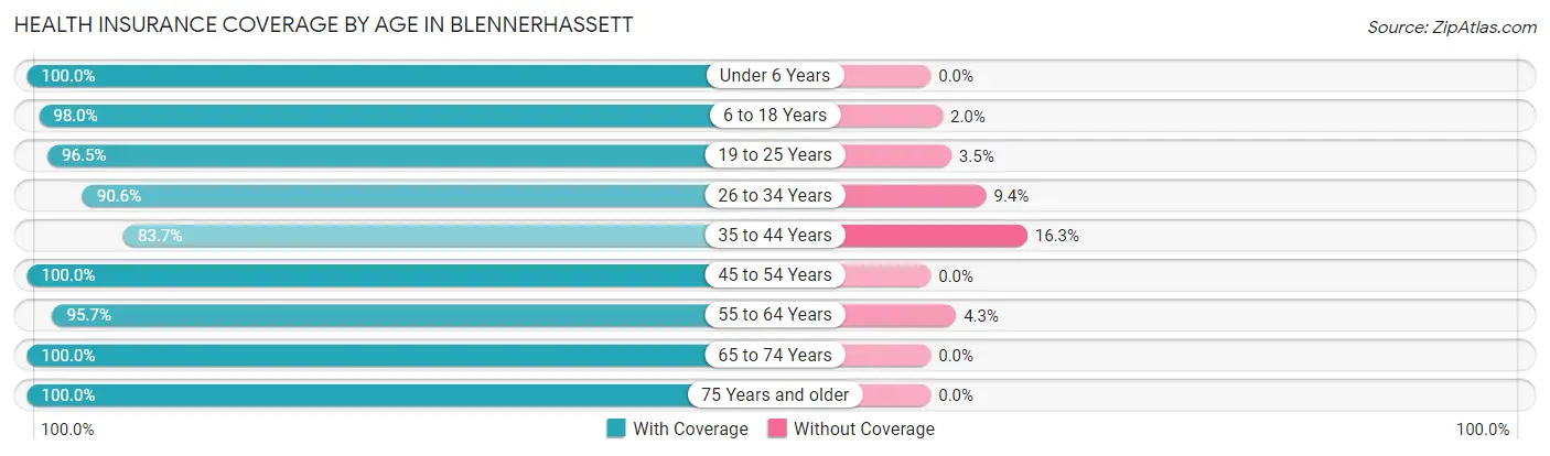 Health Insurance Coverage by Age in Blennerhassett