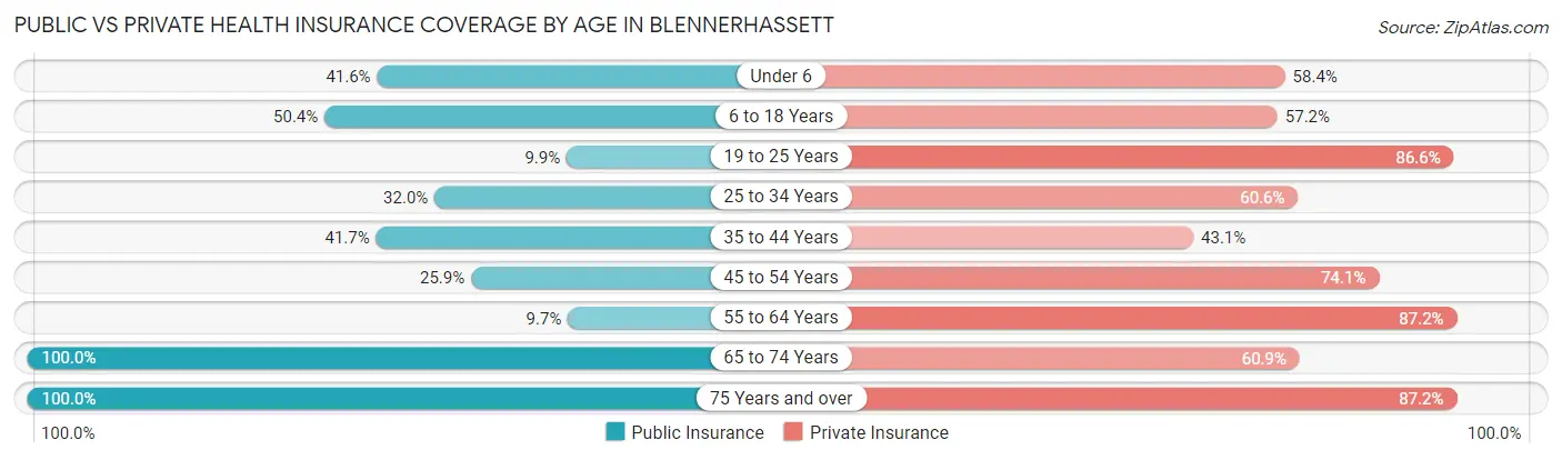 Public vs Private Health Insurance Coverage by Age in Blennerhassett