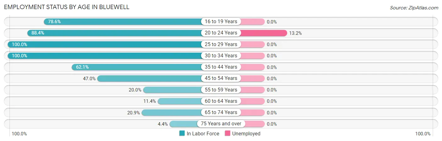 Employment Status by Age in Bluewell