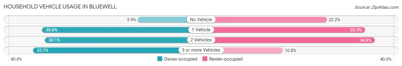 Household Vehicle Usage in Bluewell