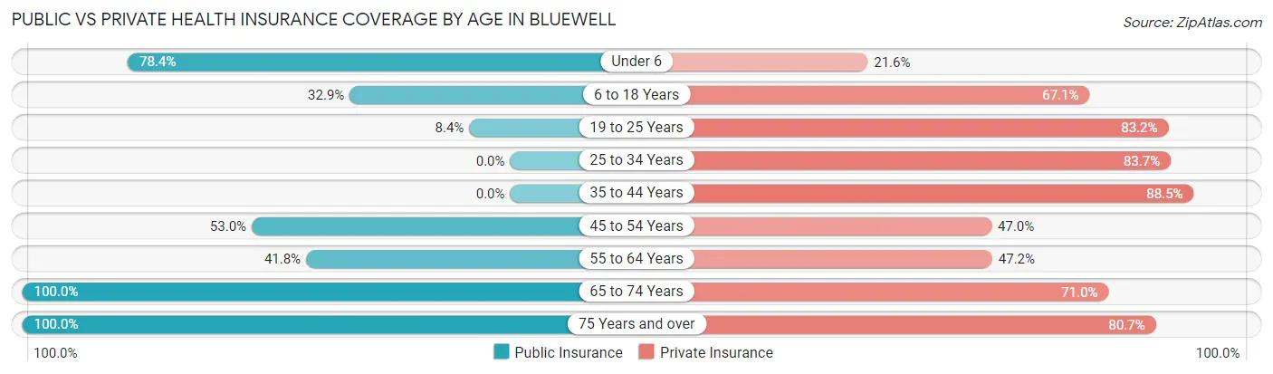 Public vs Private Health Insurance Coverage by Age in Bluewell